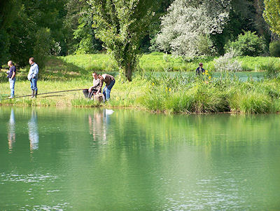 camping-de-la-grand-prade-3