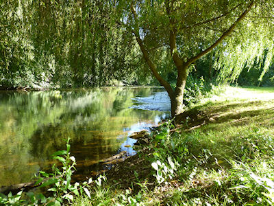 camping-le-bois-du-coderc-3