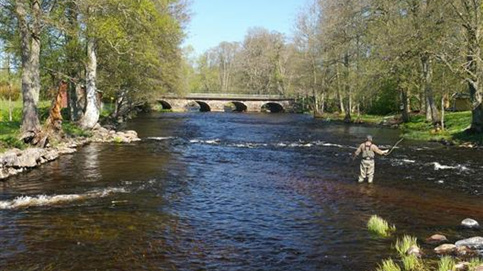 1811b346b5d20e42d27e340101446d05_campingagrionbleunontron3