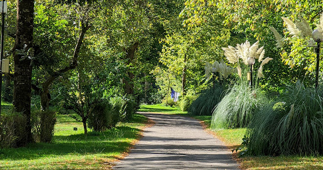 88869cb4b01445f8330f7f76c97b681d_PXL_20220910_085747704