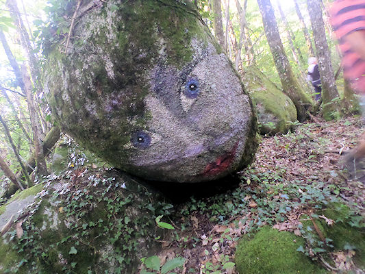 SAMSUNG CAMERA PICTURES