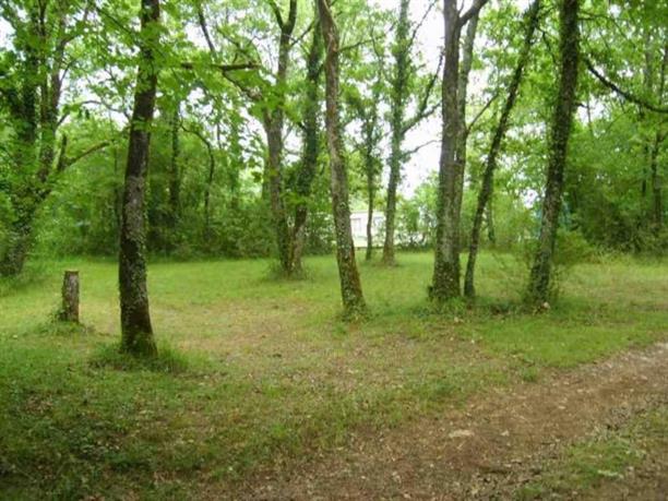 b1f9fc23460e622a6be345365165d582_lacatie3