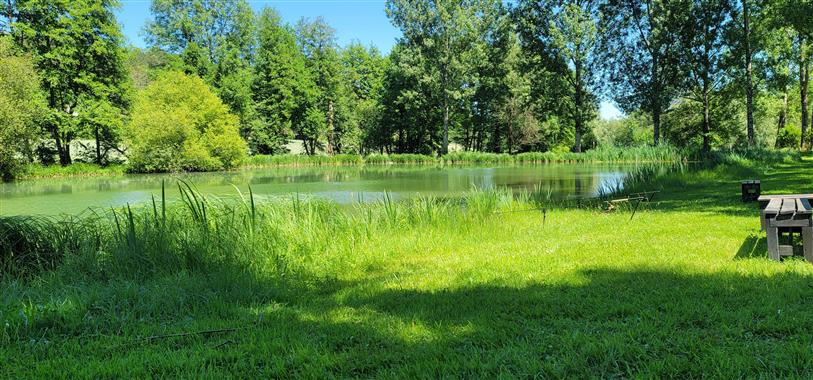 e87f7616f1b1e762e8868e58ef01ef2b_4campingleverdoyantlocatifetangs